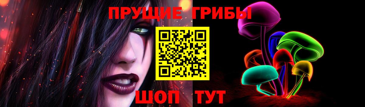 Донской  Псилоцибиновые грибы MAGIC MUSHROOMS  Вход с VPN 